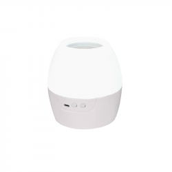 2 IN 1 8W LED NIGHT LIGHT & PROJECTOR WITH 4 PATTERNS AND 1M USB CABLE OR 3XAA