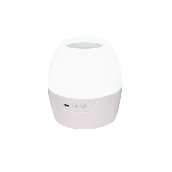 2 IN 1 8W LED NIGHT LIGHT & PROJECTOR WITH 4 PATTERNS AND 1M USB CABLE OR 3XAA
