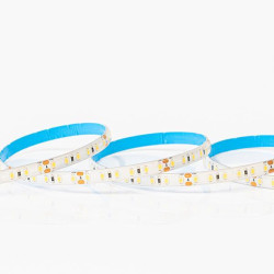 ΤΑΙΝΙΑ LED 5M 12W 12V 4000K 120L/M IP54 PRO