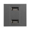 ΠΡΙΖΑ 2 Χ USB MODULES ΓΡΑΦΙΤΗΣ