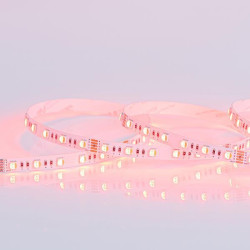 ΤΑΙΝΙΑ LED 5M 16W 24V RGBW +4000K IP20 PRO